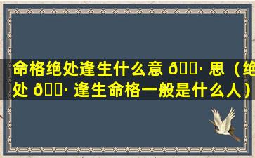 命格绝处逢生什么意 🌷 思（绝处 🌷 逢生命格一般是什么人）